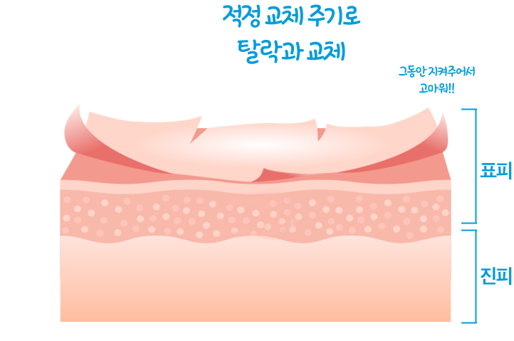 그룹 1815