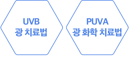 section7_hexagonImg3.png